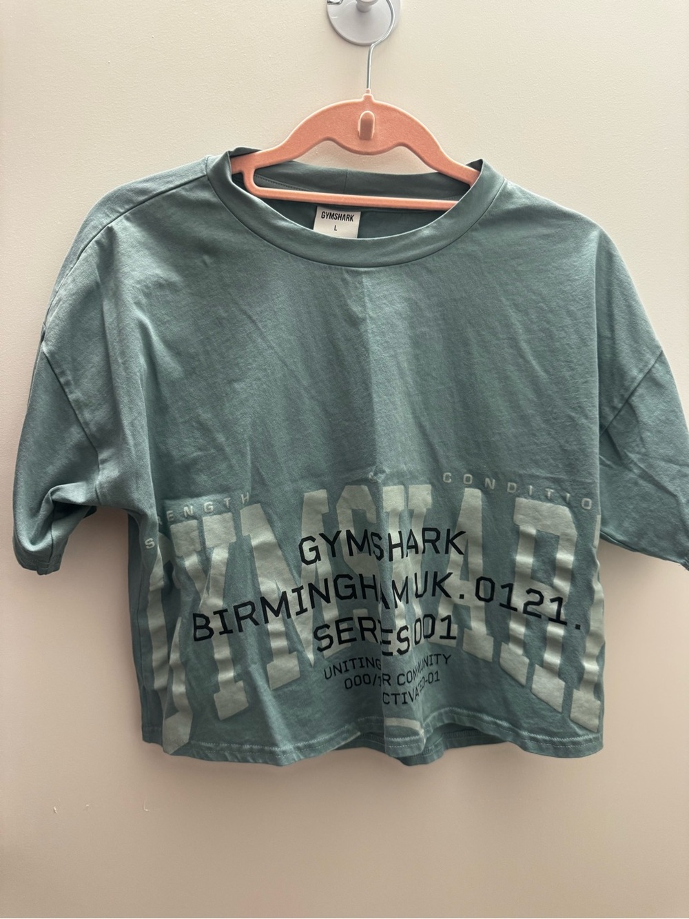Gymshark Seafoam Green Graphic Cropped Tee